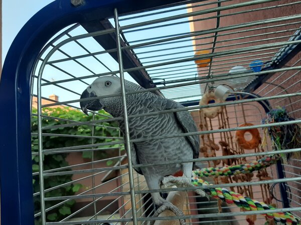 Kolejne ujęcie boczne