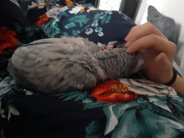 Takie poranki to ja lubię!